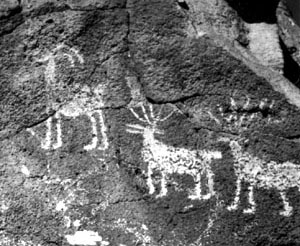 Petroglyph bighorn sheep and elk