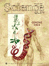 Science magazine cover